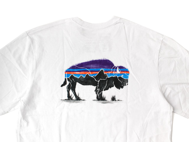 Patagonia