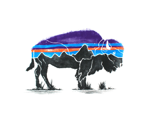 Patagonia