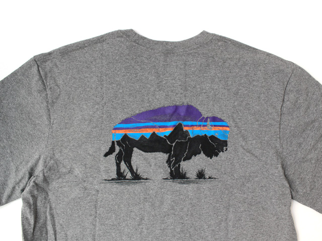 Patagonia