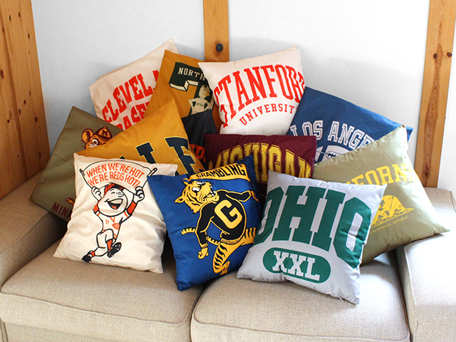 COLLEGE LOGO CUSHION