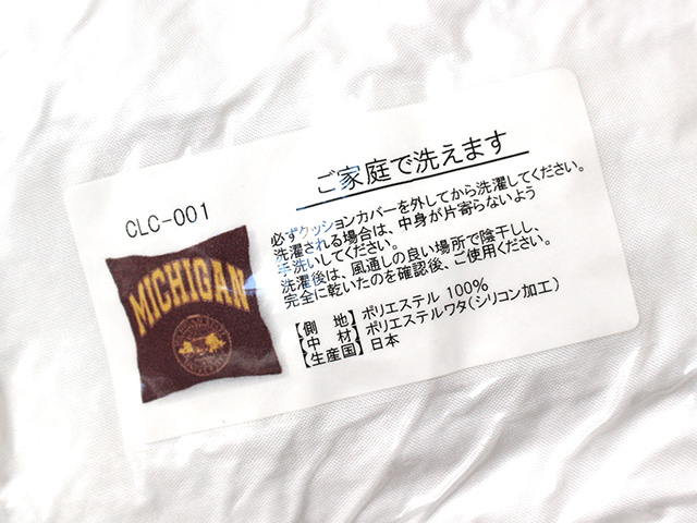 COLLEGE LOGO CUSHION