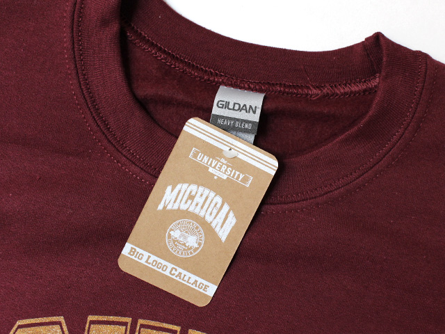 College Sweatshirt