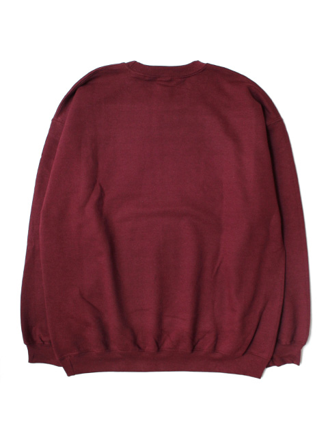 College Sweatshirt