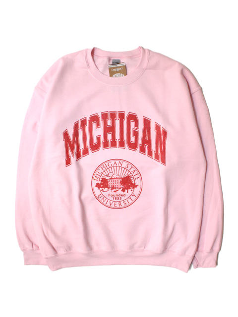 College Sweatshirt