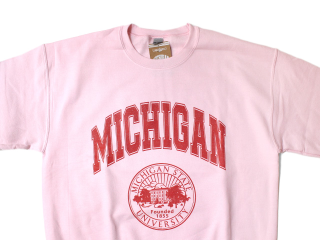 College Sweatshirt