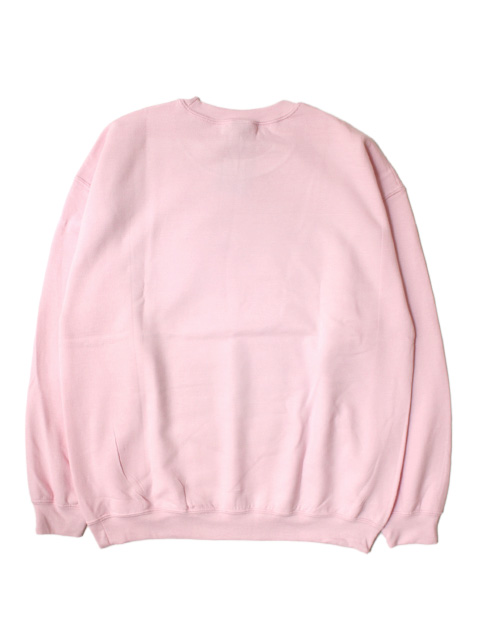 College Sweatshirt