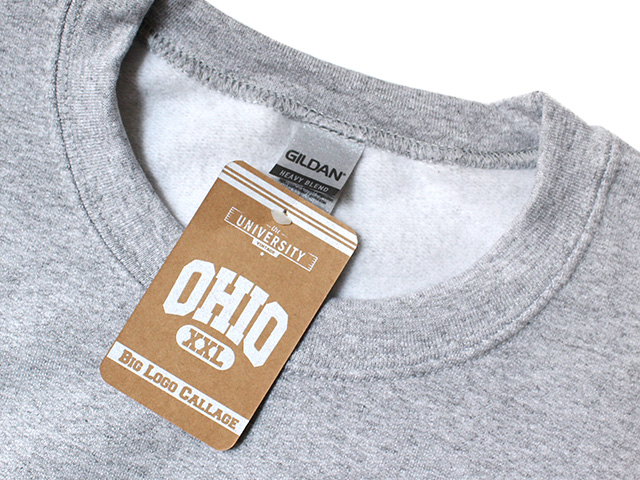 College Sweatshirt
